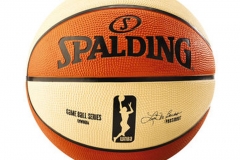 WNBA RÉPLICA DE BALONCESTO AL AIRE LIBRE - TF-150 Basquet