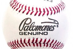 PL.14_Pelota_Beisbol_Profesional_No2001