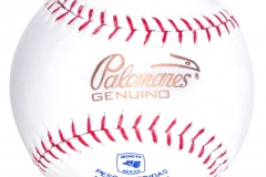 PL.17_Pelota_Softbol_Profesional_No400
