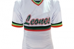 equipo_playera2
