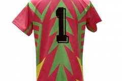 varios-colores-3