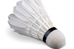 Gallito Badminton