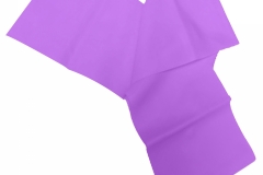 BANDA.morado