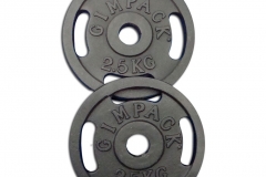 TF.7501489209586_disco-2.5kg