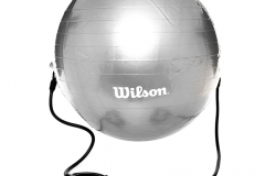 PELOTA_PILATES_CON_LIGAS_65_CM