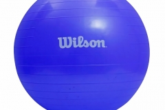 PELOTA_PILATES