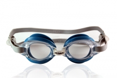 Goggles AG300