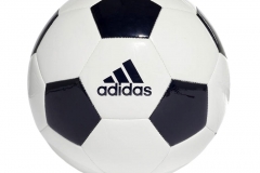 BALÓN DE FÚTBOL EPP